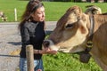 Woman caressing a cow`s head at Engelberg on the Swiss alps Royalty Free Stock Photo