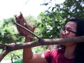 Woman caressing a young Philippine Scops Owl Otus megalotis, perching on a branch. Royalty Free Stock Photo