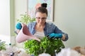 Woman caring for indoor plants, hobbies and leisure, nature in the house Royalty Free Stock Photo