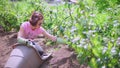 Woman caring for plants in the garden