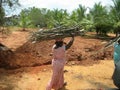 A woman carries firewood on her head