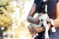 Woman carry and hug little goat on nature background