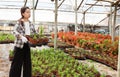 Woman carrying box of plants in greenhouse nursery Royalty Free Stock Photo