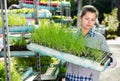 Woman carrying box of plants in greenhouse nursery Royalty Free Stock Photo