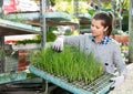 Woman carrying box of plants in greenhouse nursery Royalty Free Stock Photo