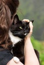 woman carrying cuddling and petting black and white cat Royalty Free Stock Photo