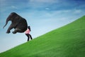 Woman carrying elephant on the hill Royalty Free Stock Photo