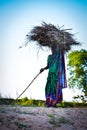 Woman carrying grass near river edge