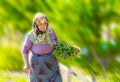 Woman carrying healthy and locally produced vegetables on a green field in Turkey