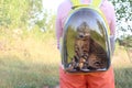 Woman carrying his cat in a transparent bubble backpack Royalty Free Stock Photo