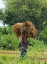 Woman Carrying Straw Bundle