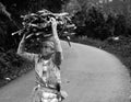 WOMAN CARRYING WOOD IN INDONESIA