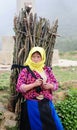 A woman carrying wood on rural road in Ha Giang, Vietnam