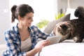 Woman and cat in the living room Royalty Free Stock Photo