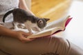Woman and cat reading a book Royalty Free Stock Photo