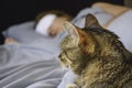 Woman and cat sleeping in bed