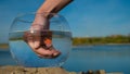 A woman catches a goldfish from a round aquarium on the sand on the lake.