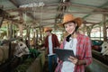 woman cattle farmer using a tablet with a background of workers feeding cows with hay Royalty Free Stock Photo