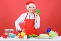 Woman chef cooking christmas dinner wear santa hat. Festive menu concept. Best christmas recipes. Enjoy easy ideas for Royalty Free Stock Photo