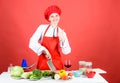 Woman chef hold sharp knife. Chop food like pro. Knife skills concept. Sexy aphrodisiac dinner recipes. Choose proper Royalty Free Stock Photo