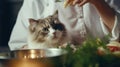 A woman in a chef's uniform and her cat are holding up some food, AI Royalty Free Stock Photo