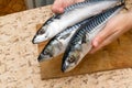 A woman chef slices a fish mackrel on a wooden Board