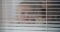 Woman with child point finger at window shutters Royalty Free Stock Photo