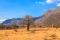 Woman and child walking through a baobab valley