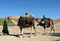 A woman and children with camels near Chaghcharan, Ghor Province, Central Afghanistan