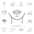 woman chin icon. Detailed set of human body part icons. Premium quality graphic design. One of the collection icons for websites,