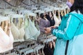 Woman choose variety of beautiful lingeries and underwears made from bamboo pulp for healthy were hanging for sale in department