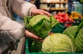 A woman chooses cabbage in a grocery store, close-up. Royalty Free Stock Photo