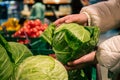 A woman chooses cabbage in a grocery store, close-up. Royalty Free Stock Photo