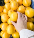 Woman chooses an orange to buy in a box in the supermarket. hand close up Royalty Free Stock Photo