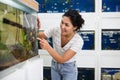 Woman choosing aquarium fish at pet shop Royalty Free Stock Photo