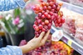 Woman choosing bunch fresh red grape to buy in supermarket Royalty Free Stock Photo