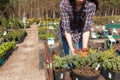 Woman choosing coniferous tree at outdoor plant nursery Royalty Free Stock Photo