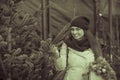 Woman choosing New Year`s tree Royalty Free Stock Photo