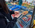 Market stall selling secondhand tools at the Mapua Easter fair, Tasman region, Aotearoa New Zealand