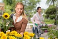 Woman choosing potted sunflower in garden center Royalty Free Stock Photo