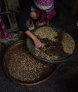 Woman choosing raw coffee beans in Thailand