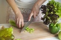 Woman chopping celery vegetable, preparing food in her kitchen, she is cutting fresh celery on a cutting board with a knife. Woode Royalty Free Stock Photo