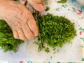 Woman chopping parsley to make a salad