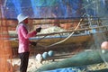 woman cleaning fish net ,after be back from fishing Royalty Free Stock Photo