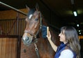 Woman cleaning her horse. Farm background. Take care of animals. Equestrian tools. Royalty Free Stock Photo