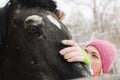 Woman cleaning the horse neb