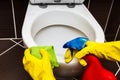 Woman is cleaning toilet bowl with a rag and disinfectant Royalty Free Stock Photo