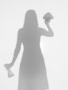 Woman cleaning a window, silhouette Royalty Free Stock Photo