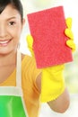 Woman cleaning windows Royalty Free Stock Photo