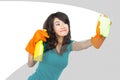 Woman cleaning windows Royalty Free Stock Photo